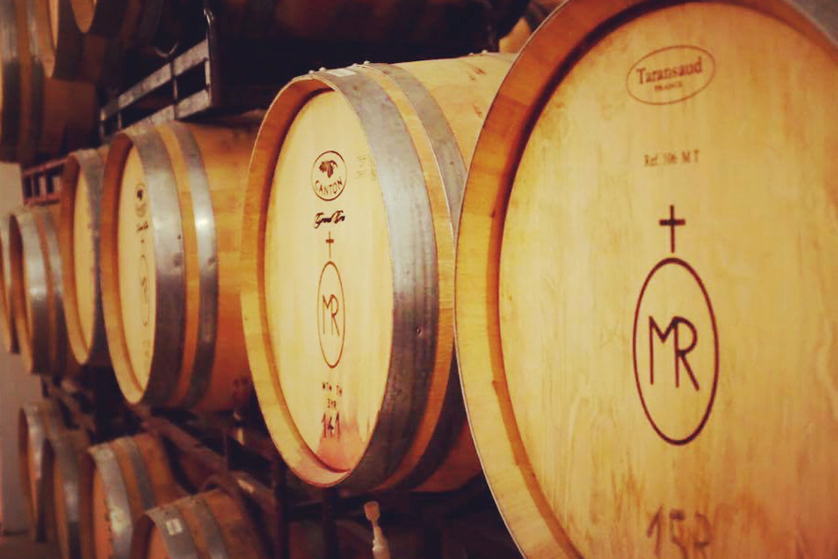 Wine-vinyard-Seen-in-the-city