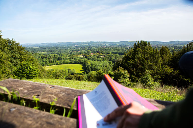 southdowns_book_view_seen_in_the_city