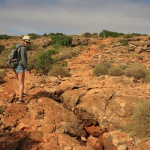 Rise of travelling